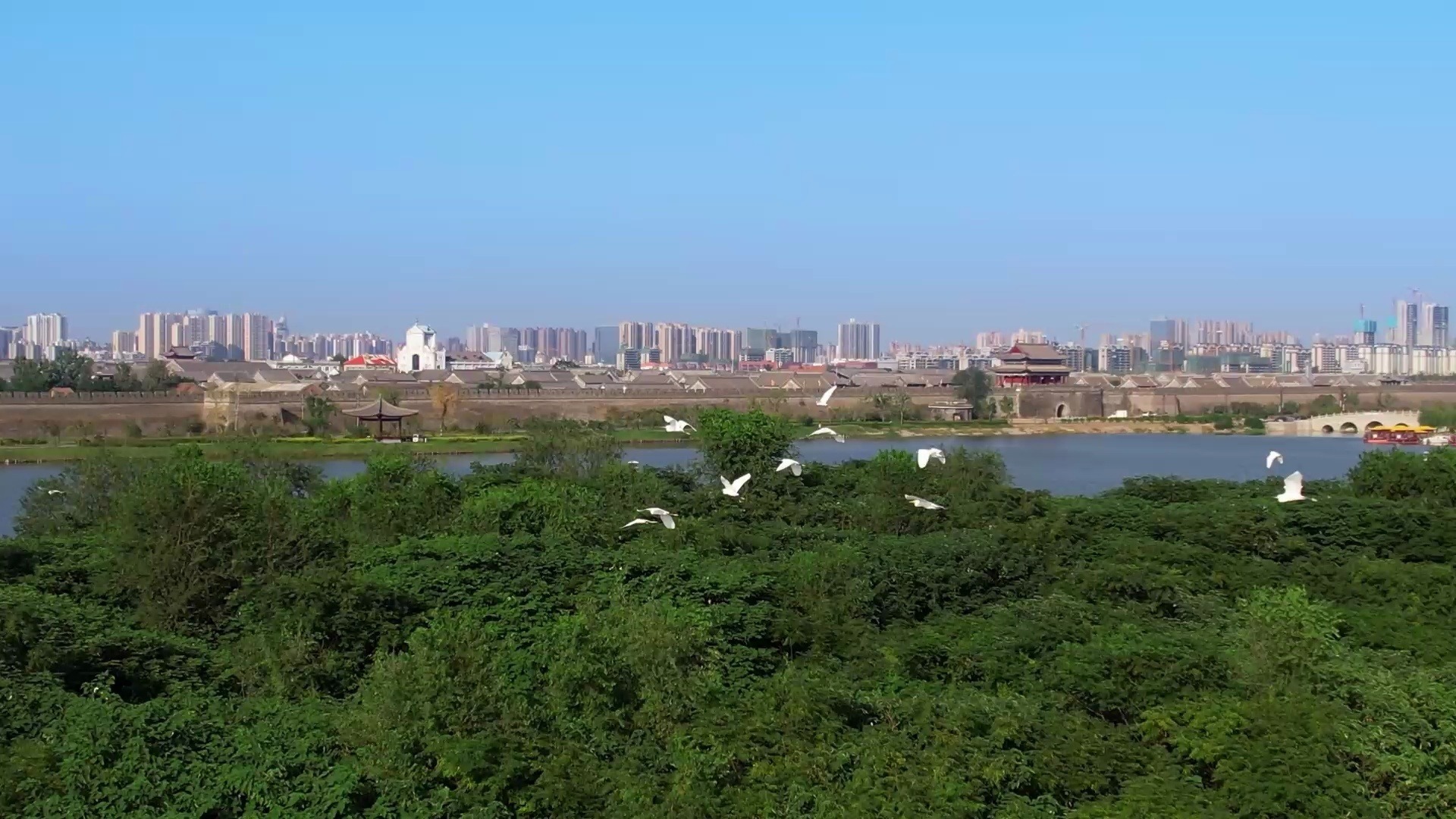 河南商丘:南湖湿地水草丰美群鸟栖