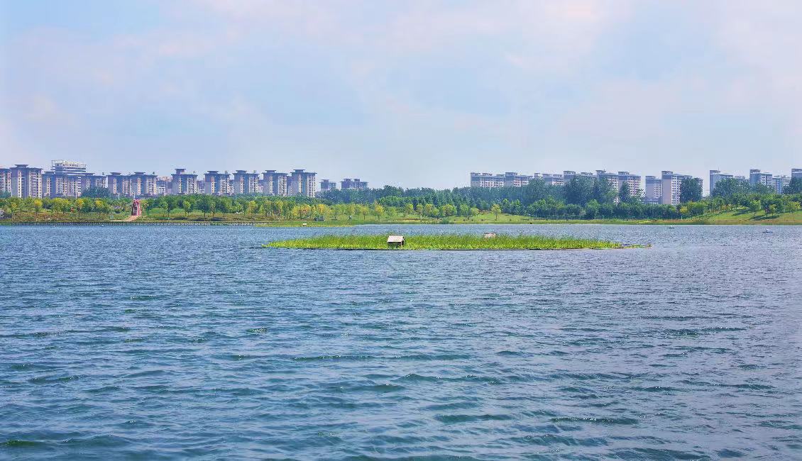 首页>平舆县融媒体中心>正文>碧波荡漾 谢君中 摄金波闪烁 谢君中 摄