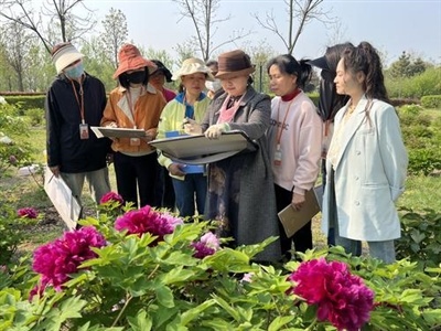 有为老年大学的师生在公园写生 马硕丹 摄