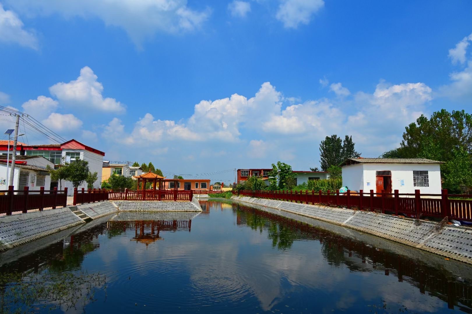 图说丨河南平舆一村一景绘就美丽乡村新画卷