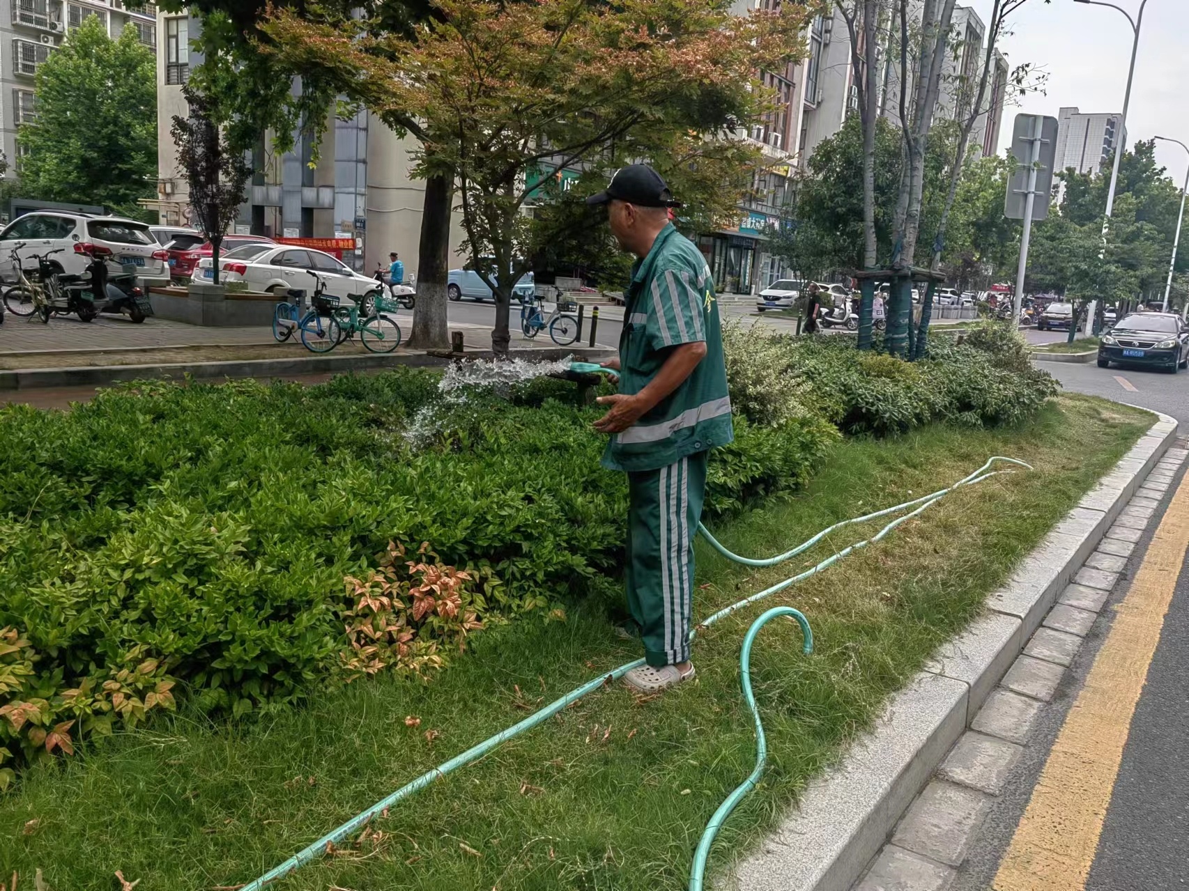 绿化工人为植物浇水 娄宇 摄