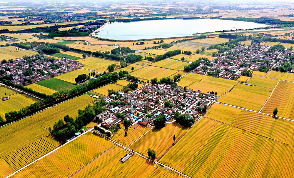 河南沁阳首张"建筑工程施工许可证"电子证照发放_市县工作动态__河南